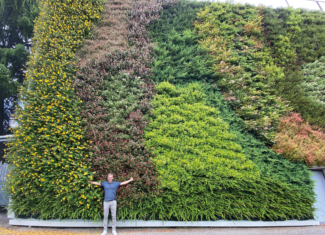 LAURENT DUBOIS: il comasco d’adozione che arreda il mondo con le sue pareti verdi